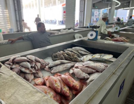 Fish Market 2