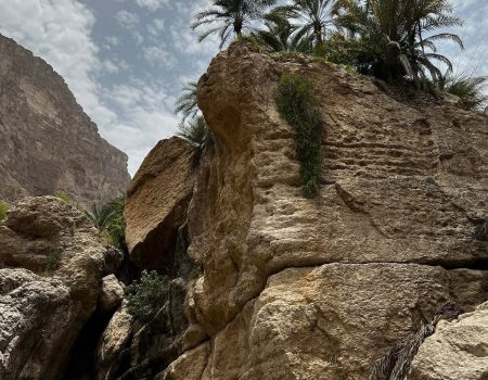 Wadi Mibam 7