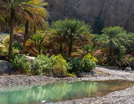 Wadi Nakhar 20