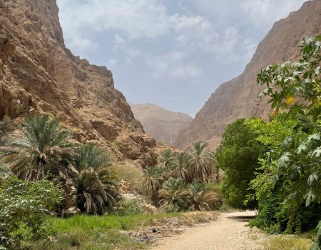 Wadi Shab 8