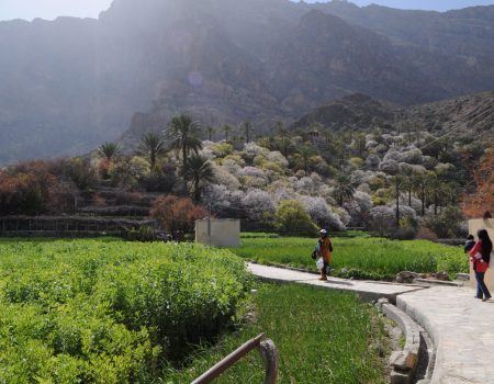 Wekan Village 1