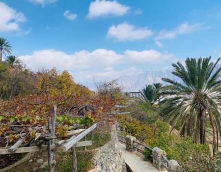 Wekan Village 6